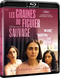 Les Graines du figuier sauvage