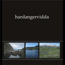Hardangervidda I