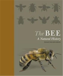 The bee a natural history