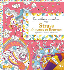 Les ateliers du calme : pochette tableaux strass et sequins - chevaux et licornes
