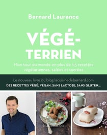 Végéterrien - mon tour du monde en plus de 115 recettes végétariennes, salées et sucrées