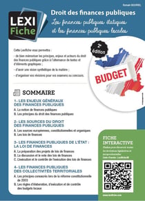 Droit des finances publiques : les finances publiques étatiques et les finances publiques (2e édition)