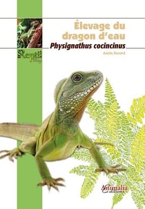 Elevage du dragon d eau - physignathus cocincinus