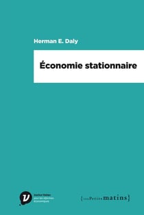 Économie stationnaire