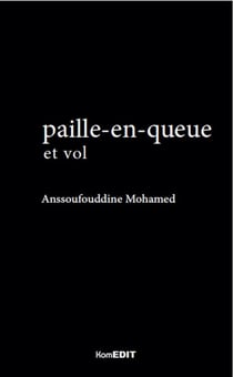 Paille-en-queue (2e édition)