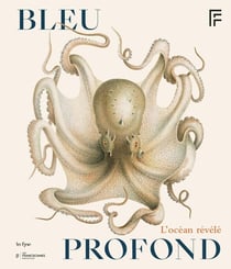 Bleu profond : L'océan révélé