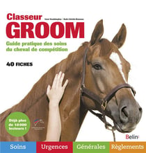 Classeur groom