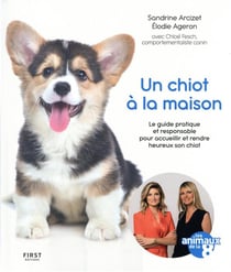 Le guide du chiot