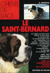 Le saint bernard