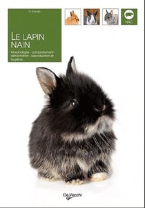 Le Lapin Nain