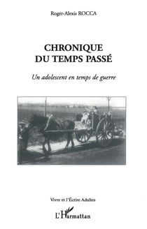 Chronique du temps passé -  un adolescent en temps de guerre