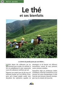 Le thé et ses bienfaits