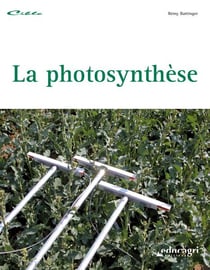 La photosynthèse