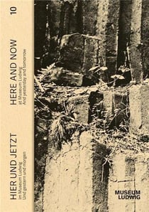 Hier und jetzt / here and now at museum ludwig vol. 10. und gestern und morgen /anglais/allemand