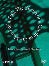 The shape of a circle in the mind of a fish