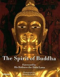 The spirit of bbuddha
