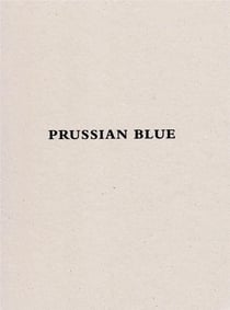 Yishai Jusidman - prussian blue - catalogue expo Muac