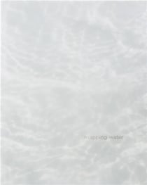 Judy Tuwaletsiwa : Mapping water