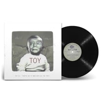 Toy
