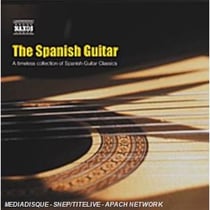 The spanish guitar