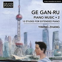 Piano Music, Vol. 2 - 12 Etudes for Extended Piano