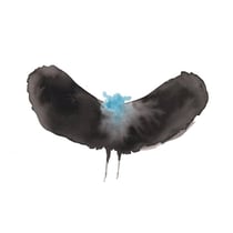 HaywardxDälek