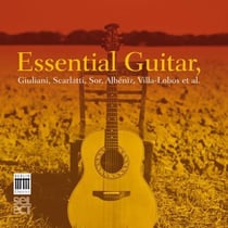 Essential guitar