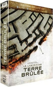 Le Labyrinthe : La Terre Brûlée