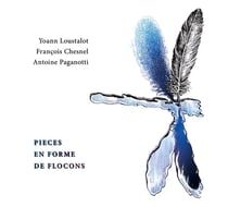 Pieces en forme de flocons