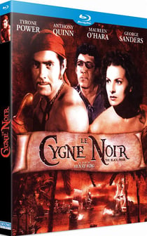 Le Cygne noir