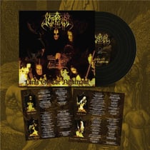 Lords Of The Nightrealm
