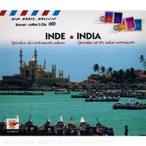 Inde : splenteurs des instruments