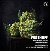 Sonates pour violon et basse continue