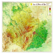 Cote d or 31 x 31 cm