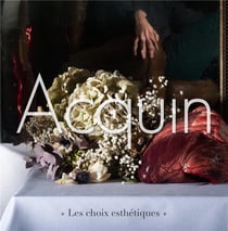 Les choix esthétiques
