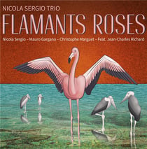 Flamants Roses