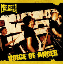 Voice Of Anger