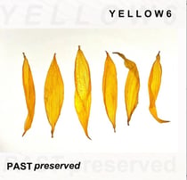 Past Preserved - édition colorée
