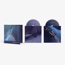 Anjunadeep 15