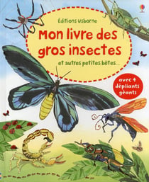 Mon livre des gros insectes et autres petites bêtes