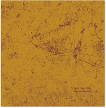Vanessa Winship and time folds