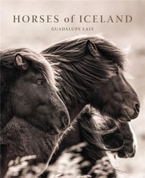 Guadalupe laiz : Horses of Iceland
