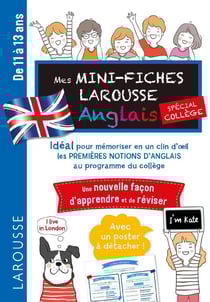 Mes mini fiches Larousse - anglais - spécial collège