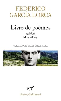 Livre de poèmes - mon village