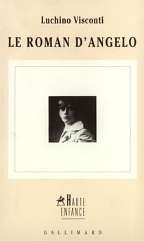 Le roman d'angelo