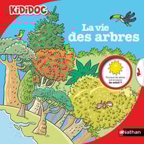 La vie des arbres