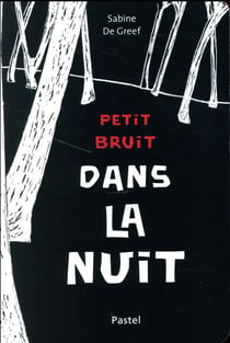 petit bruit dans la nuit