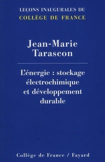 L'énérgie : stockage éléctrochimique et développement durable