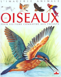 Oiseaux