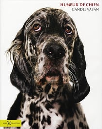 Humeur de chien